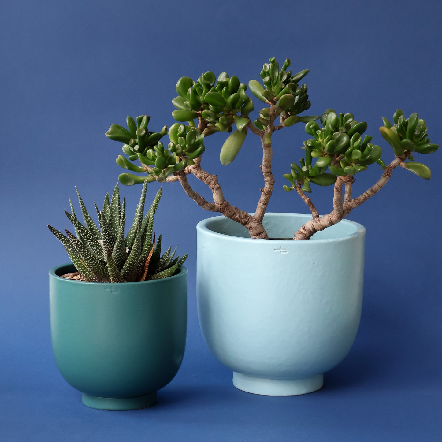 U-Planter & Tray