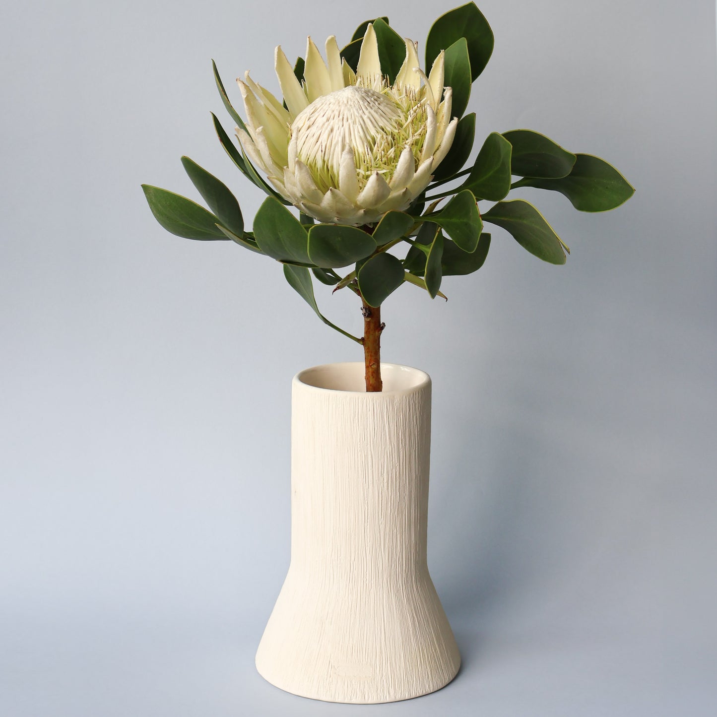 Restio Vase / Standard